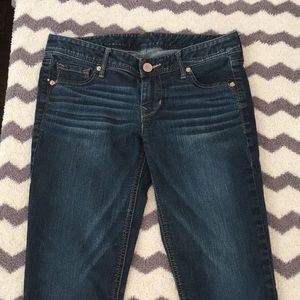 Express Stella Skinny Jeans (Low Rise)